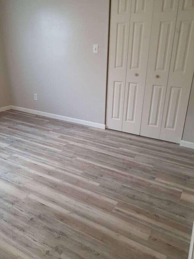 walk in closet in master - 205 W Allen St