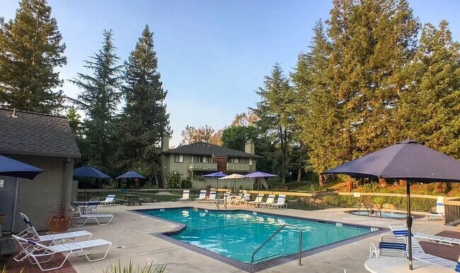 Community pool - 3409 La Terrace Cir