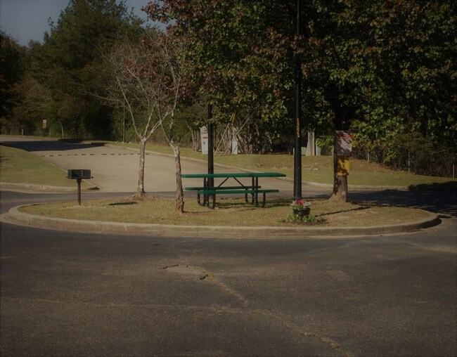 The Branch at Carson Springs Apartments Birmingham, AL