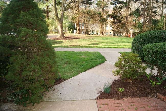 Foto del edificio - 7514 Spring Lake Dr