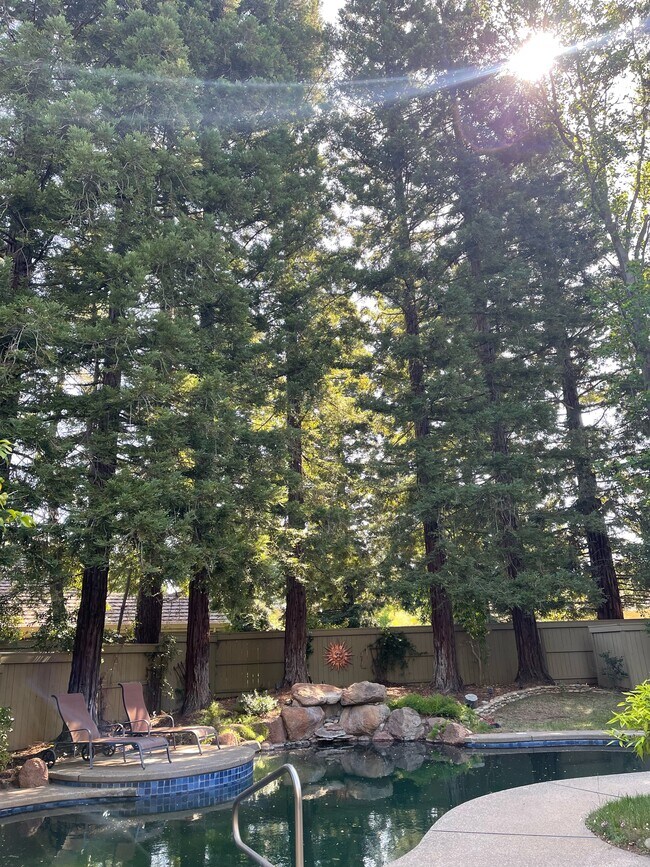Building Photo - 11382 Buckeye Hill Ct