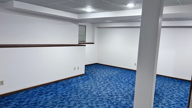 Sótano - 146 Carson Ct