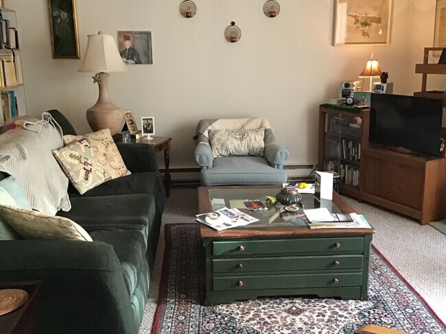 Cozy livingroom - 7540 37th Ave NE