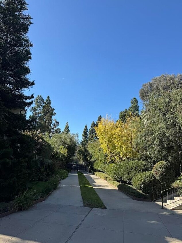 Foto principal - Renovated 2 Bedroom/ 1 Bathroom Condo Avai...