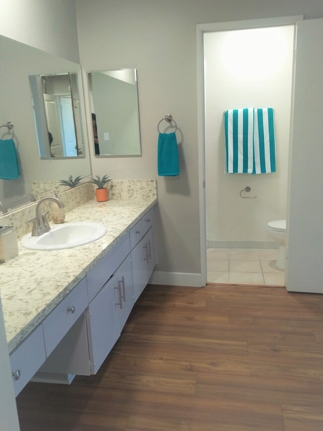 2 o 3 habitaciones, habitación principal & Cuarto de baño principal - Summerwood Park Apartments