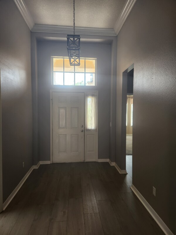 Foto del edificio - 8116 Moccasin Trail Dr