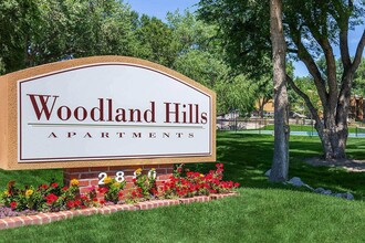 Woodland Hills Apartments photo'