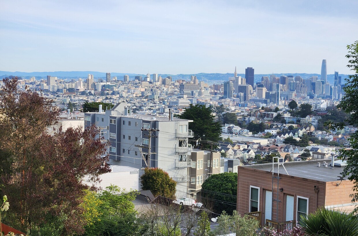 VIEWS VIEWS VIEWS from your deck - 81 High St