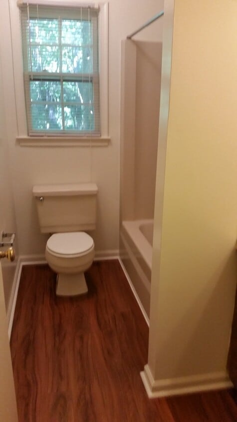 Two Bedroom apartment, with Deck, off of Timberlake, and close to 460 - Two Bedroom apartment, with Deck, off of Timberlake, and close to 460