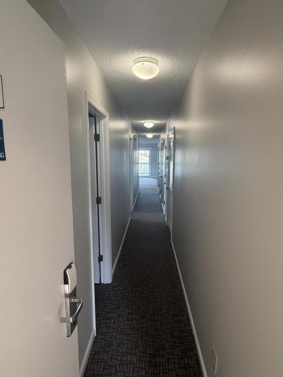 Foto del edificio - 204 Double Eagle Dr