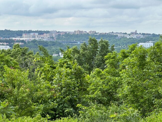 Building Photo - Historic Two Bed, Two Bath Home with a priceless view + landscaping included!