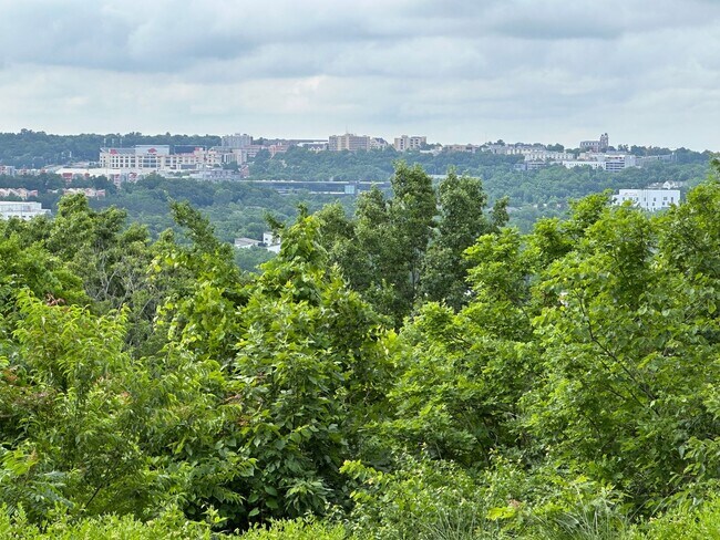 Foto del edificio - Historic Two Bed, Two Bath Home with a priceless view + landscaping included!