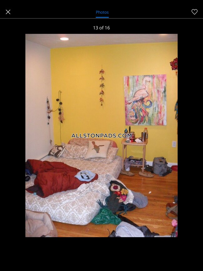 Building Photo - 17 Alcott St