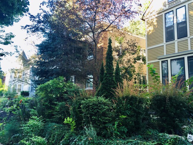 El exuberante espacio verde visto desde la parte delantera de la casa. - 2424 Stevens Ave