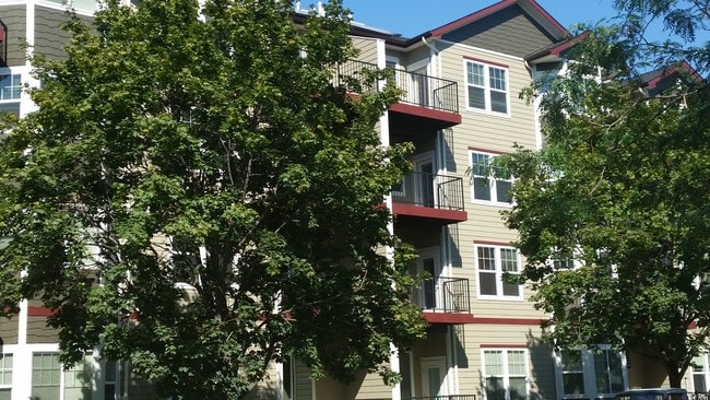 Building Photo - Vineyard at Sycamore Place
