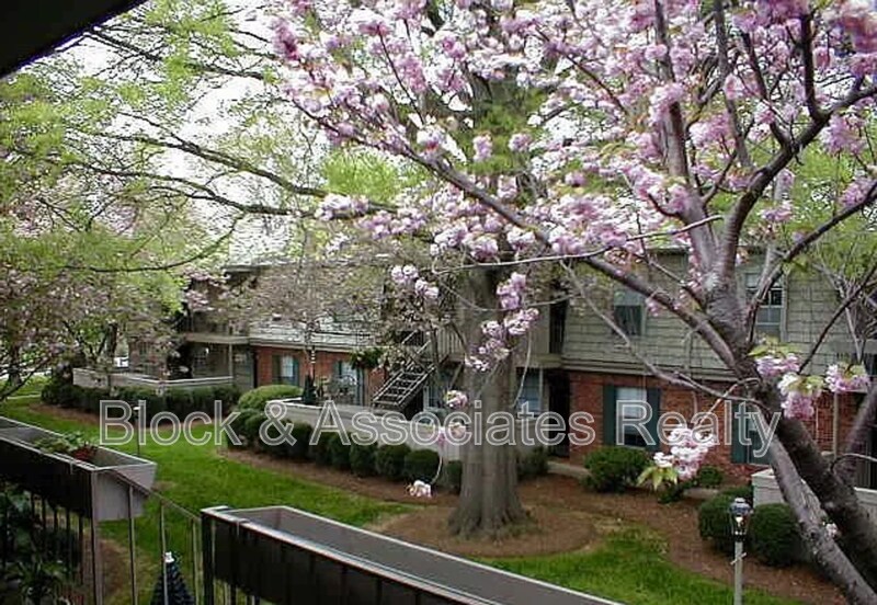 Foto principal - 3824-L Country Club Road