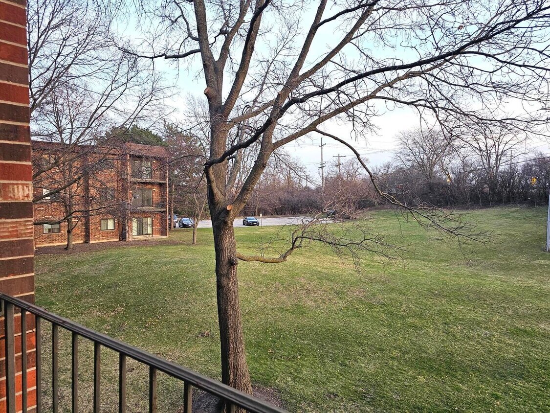 Foto del edificio - 1018 Castilian Ct