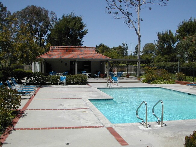 Pool - 28009 Ridgecove Ct N