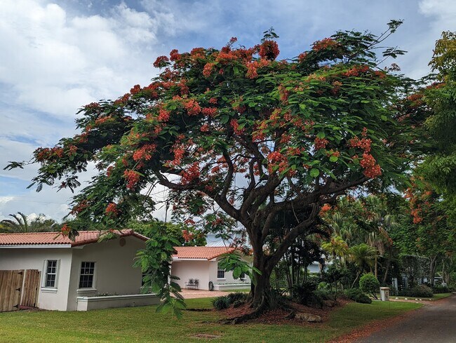 Foto del edificio - 9501 SW 69th Ct