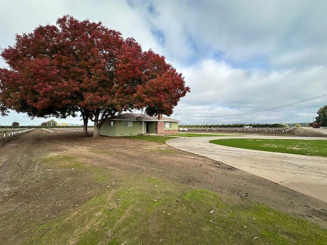 Foto del edificio - Cozy country home coming soon!