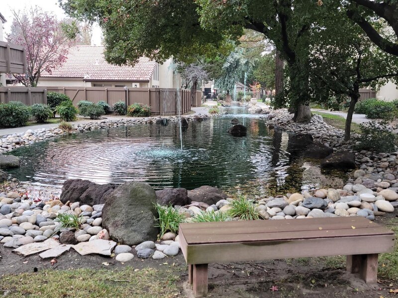Foto principal - 3700 Tully Rd