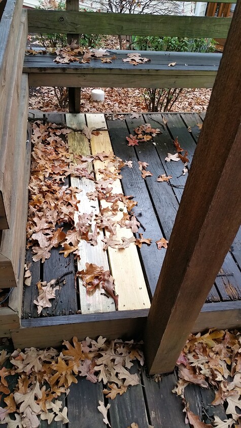 Large Deck - 1441 Bluebird Terrace