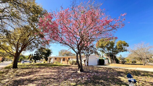 Foto del edificio - 1516 Dove Dr