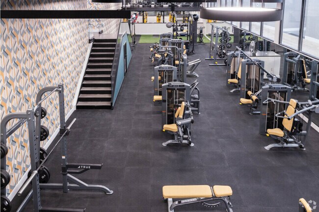 Gimnasia - 26 Lane Ave