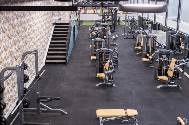 Gym - 26 Lane Ave