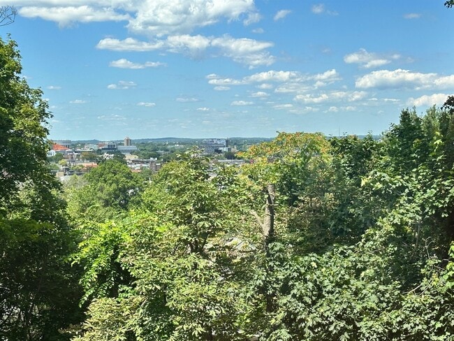 Building Photo - 273 Mason Terrace