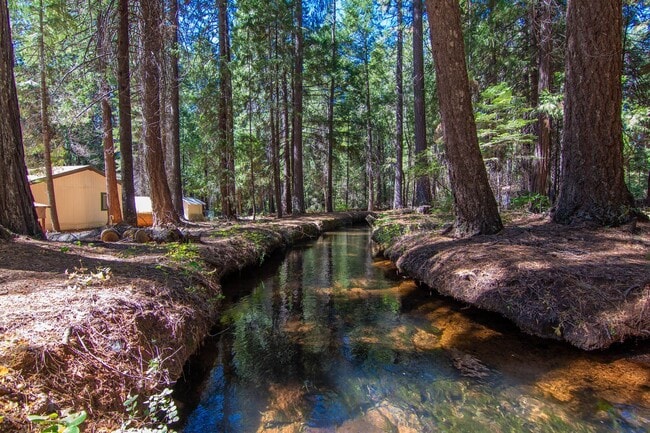 Building Photo - Furnished Shingletown Home with Horse Corral, Huge Fenced Back Yard and Chicken Coop!