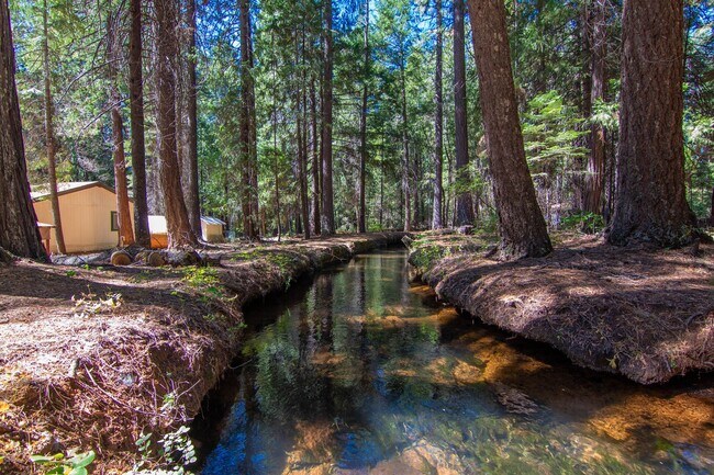 Foto del edificio - Furnished Shingletown Home with Horse Corral, Huge Fenced Back Yard and Chicken Coop!