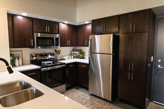 1BR, 1BA - 650SF - The 503 Apartments