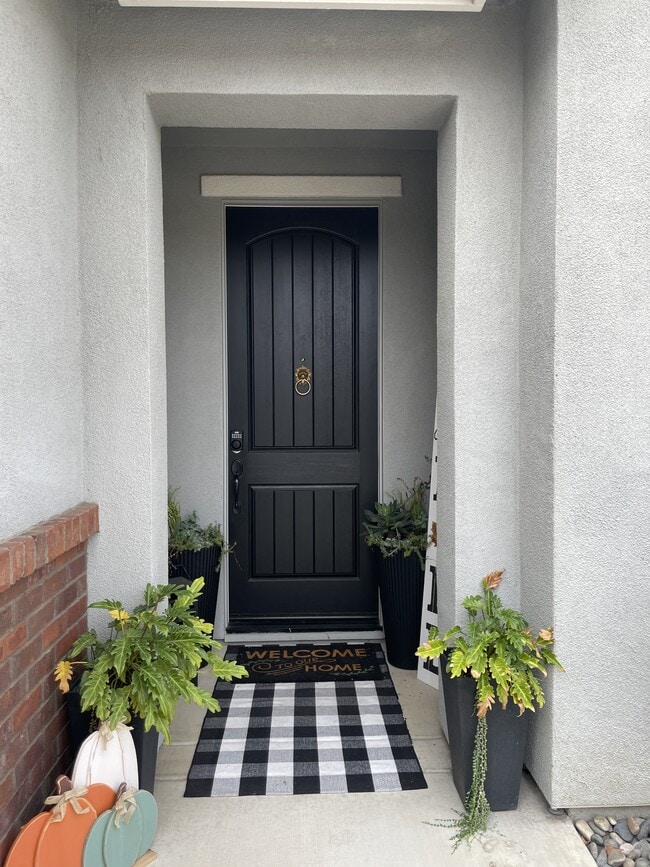 Building Photo - 3119 Adriana Ln