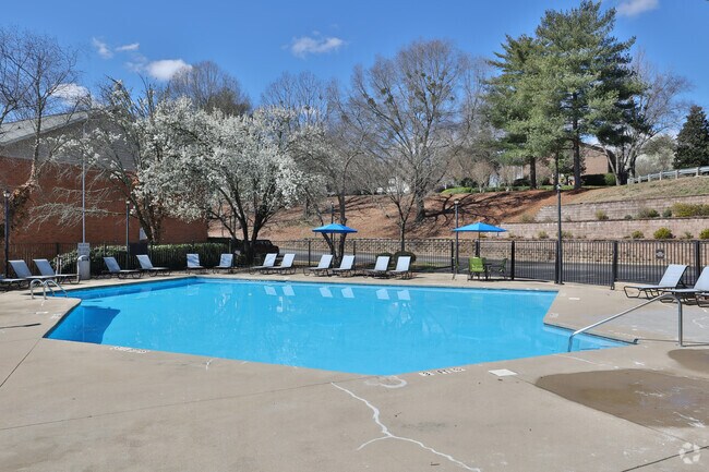 Piscina - zCobalt Springs