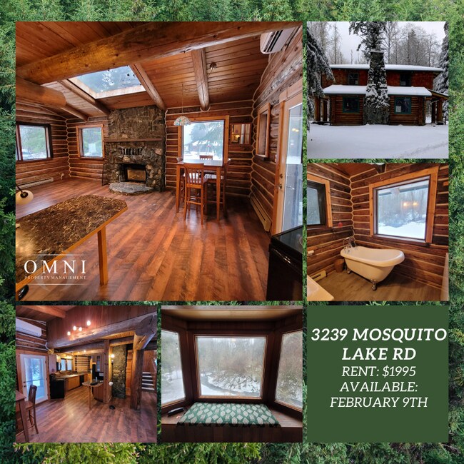 Log Cabin on Acreage, Mosquito Lk Rd House Rental in Deming, WA