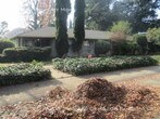 Foto principal - CUTE APARTMENT IN RIVER PARK!!