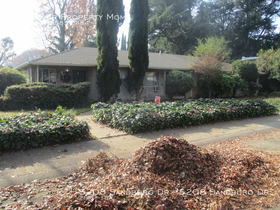 Primary Photo - CUTE APARTMENT IN RIVER PARK!!