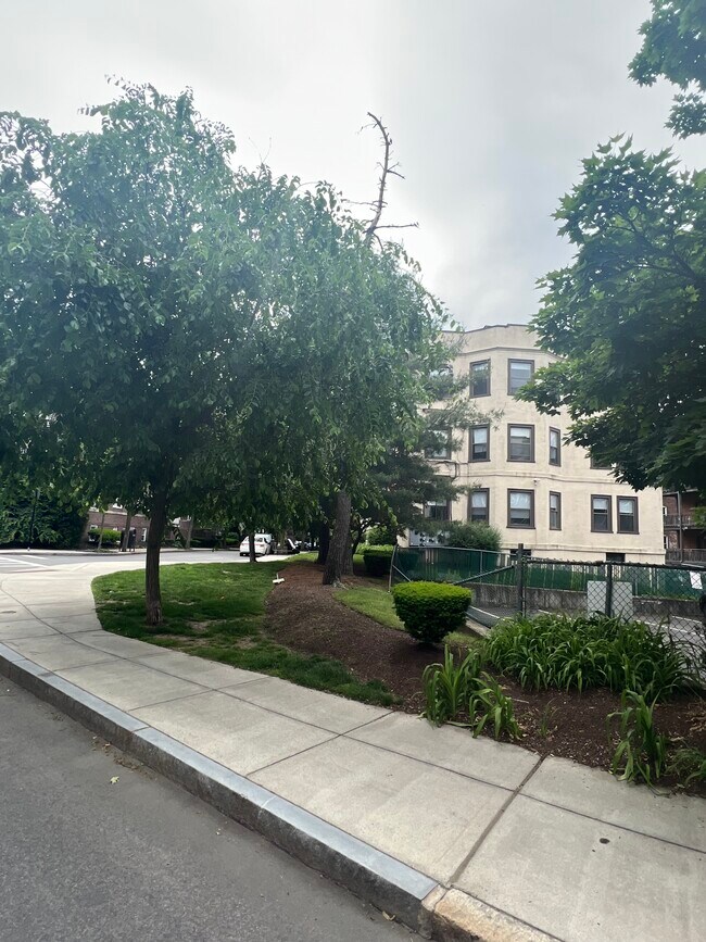 Foto del edificio - 24 Hamilton Rd