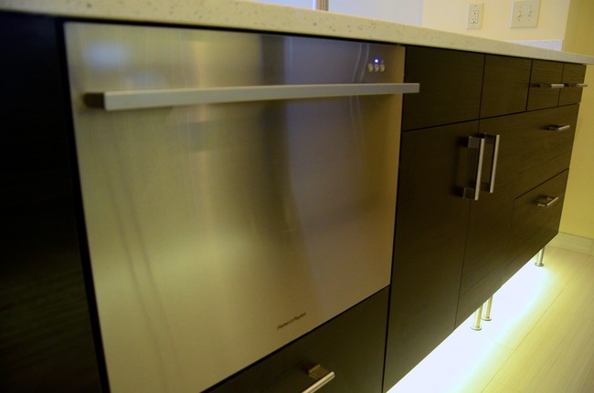 Drawer Dishwasher - JI Case Lofts