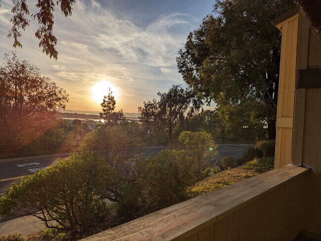 Foto del edificio - 355 Parkview Ter