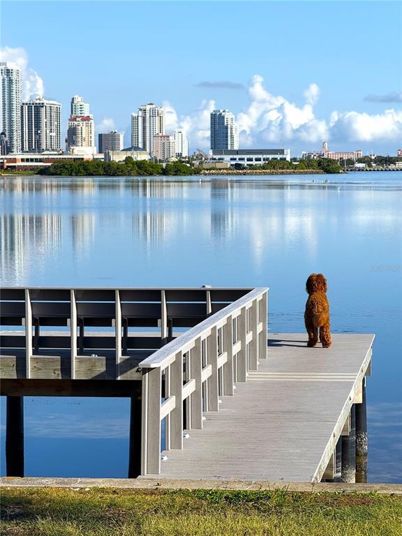 Building Photo - 377 22nd Ave SE