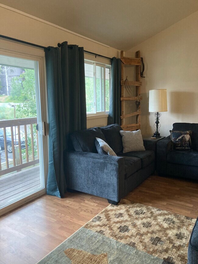 3025 Columbine Dr Unit 6, Steamboat Springs, CO 80487 Condo for Rent