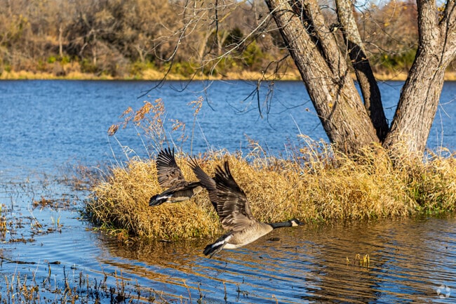 A 40-acre Spring Hill Lake is one of the local attractions.
