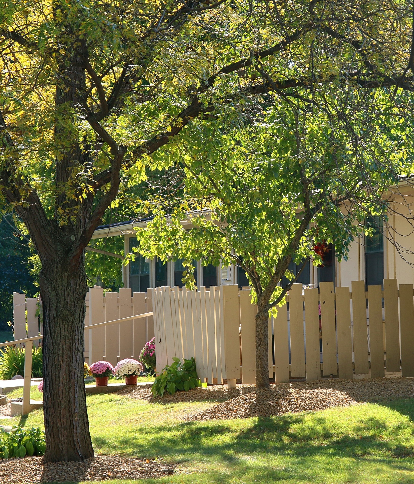 Victoria Square Apartments – photo 2