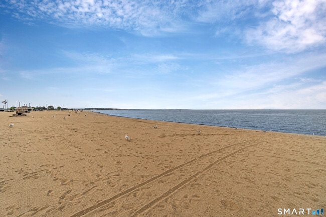 Foto del edificio - 115 Short Beach Rd