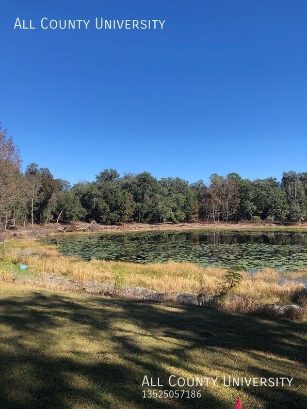 Lake Front Estate Home House for Rent in Hawthorne, FL