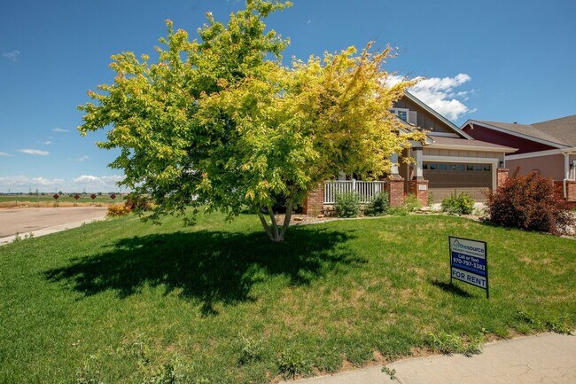 Foto del edificio - 5 Bedroom Home in Windsor Colorado
