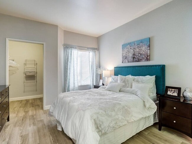 Building Photo - Collage Apartment Homes