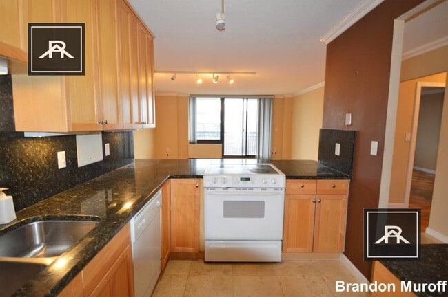 1 bedroom in Brookline MA 02446 - 1 bedroom in Brookline MA 02446 Apartment